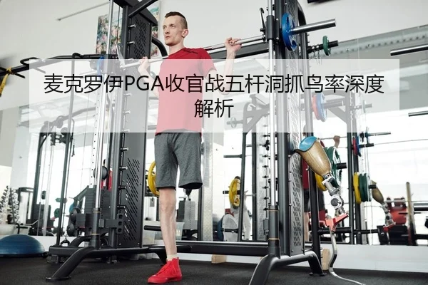 mai-ke-luo-yi-shou-guan-zhan-wu-gan-dong-zhua-niao-lv-shen-du-jie-xi-2-306.jpg